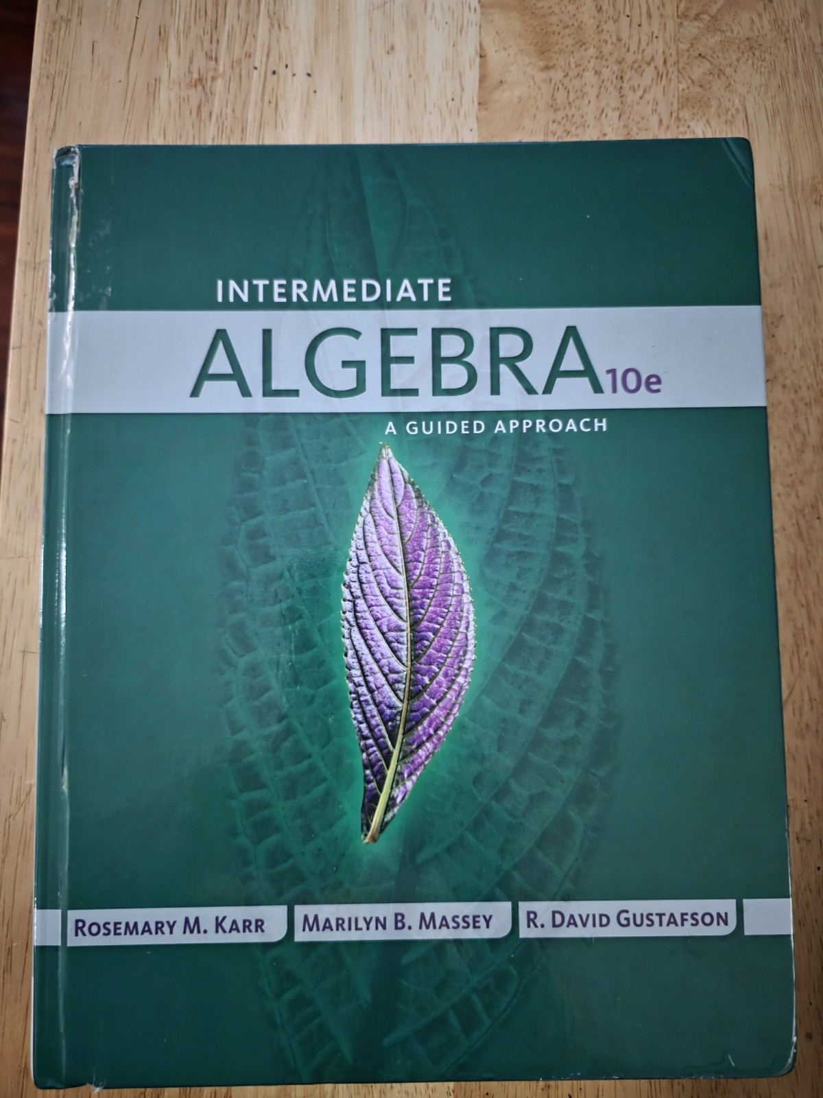 Intermediate Algebra: A Guided Approach
