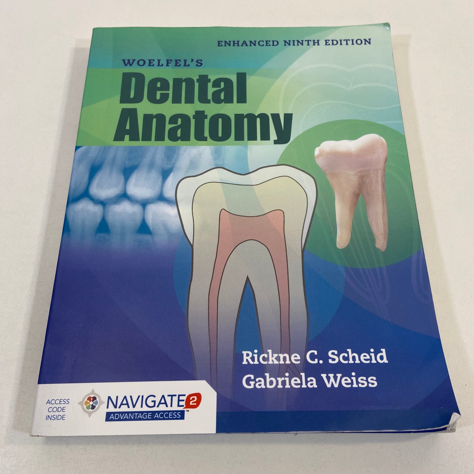 Woelfel’s Dental Anatomy Rickne C Scheid Gabriela Weiss Enhanced Ninth Edition