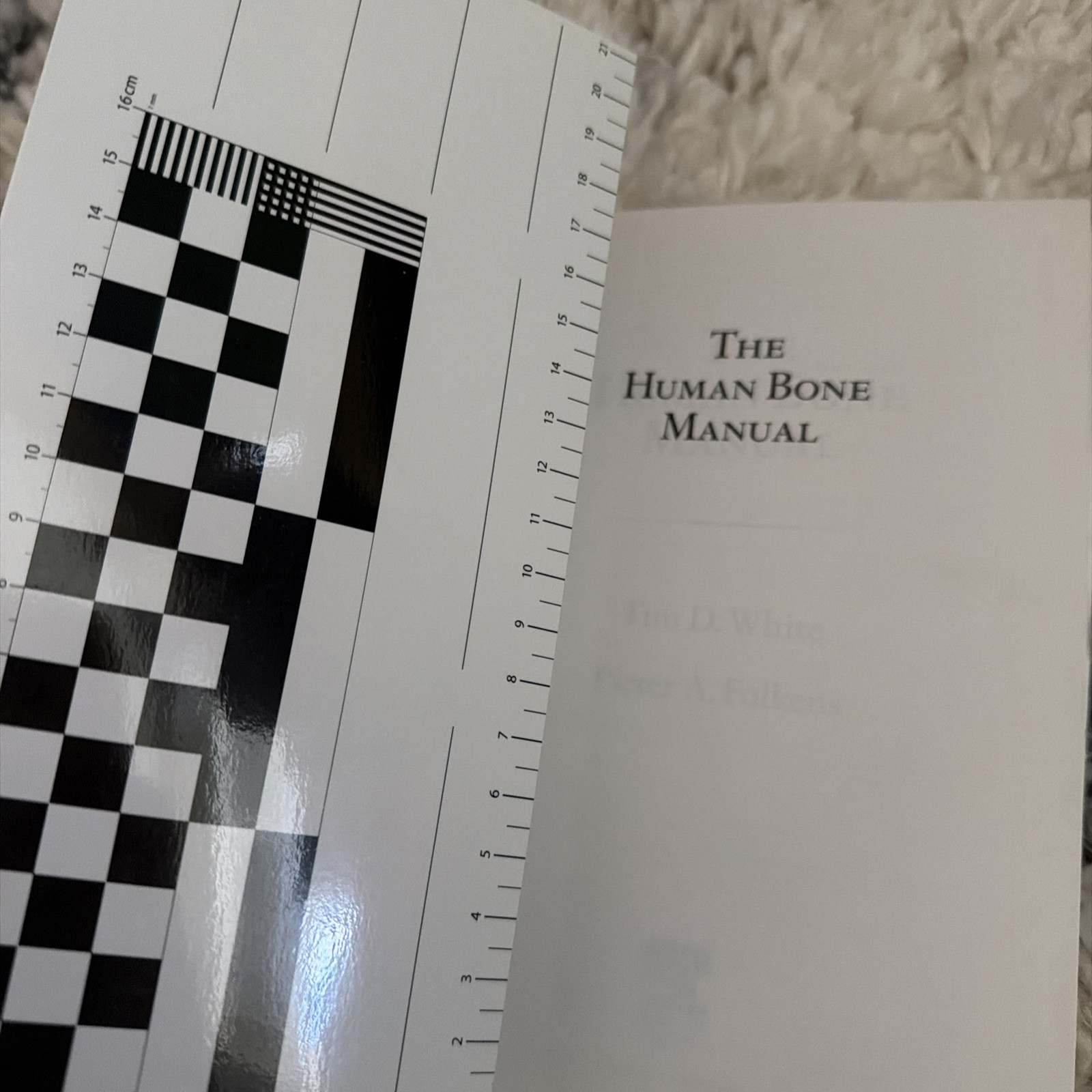The Human Bone Manual – Paperback, by White Tim D.; Folkens Pieter – Very Good