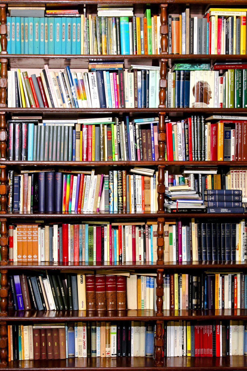 History Books & More: — All new, all priced at $3.50