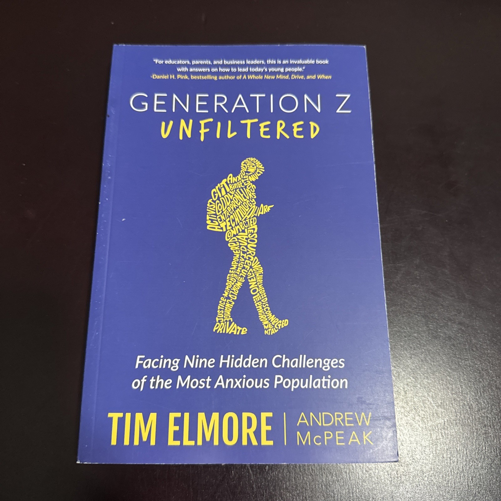 Generation Z : Unfiltered by Tim Elmore and Andrew McPeak (2019, Trade…