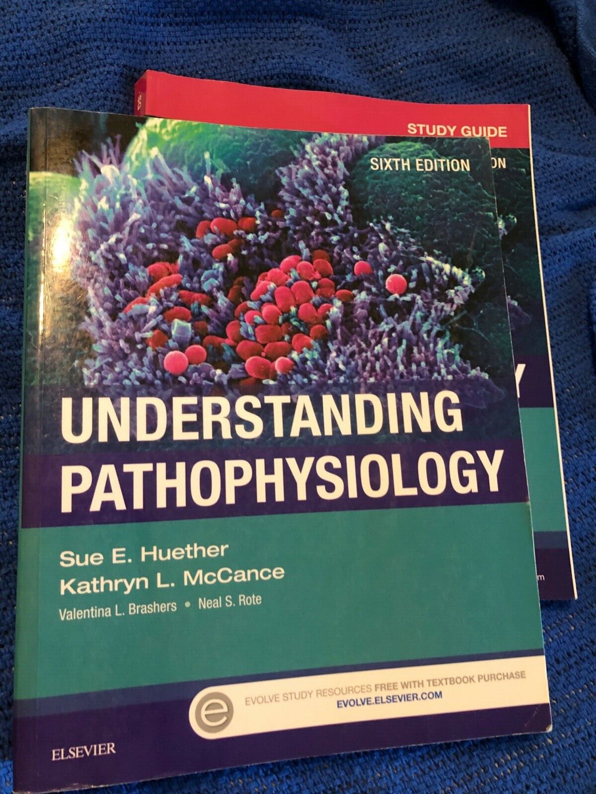 Understanding Pathophysiology by Kathryn L. McCance and Sue E. Huether (2016,…