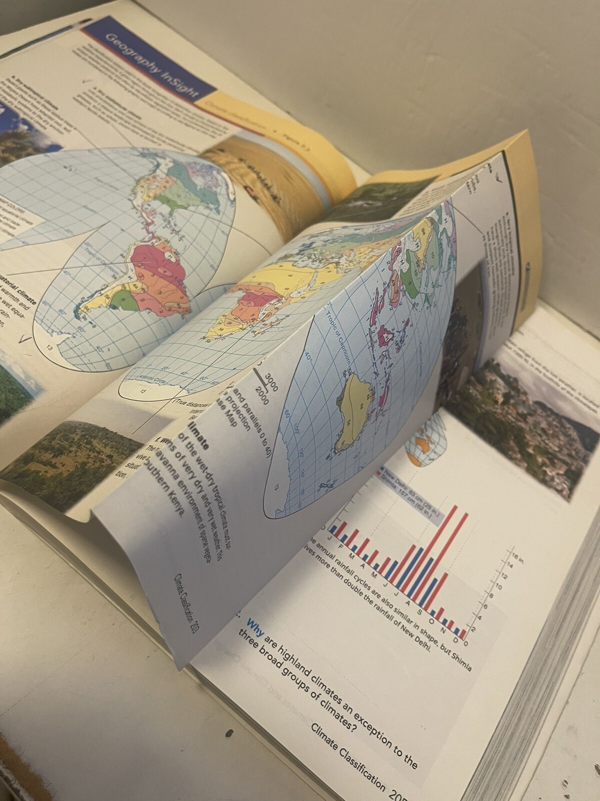 Visualizing Ser.: Visualizing Physical Geography by Timothy Foresman and Alan H.