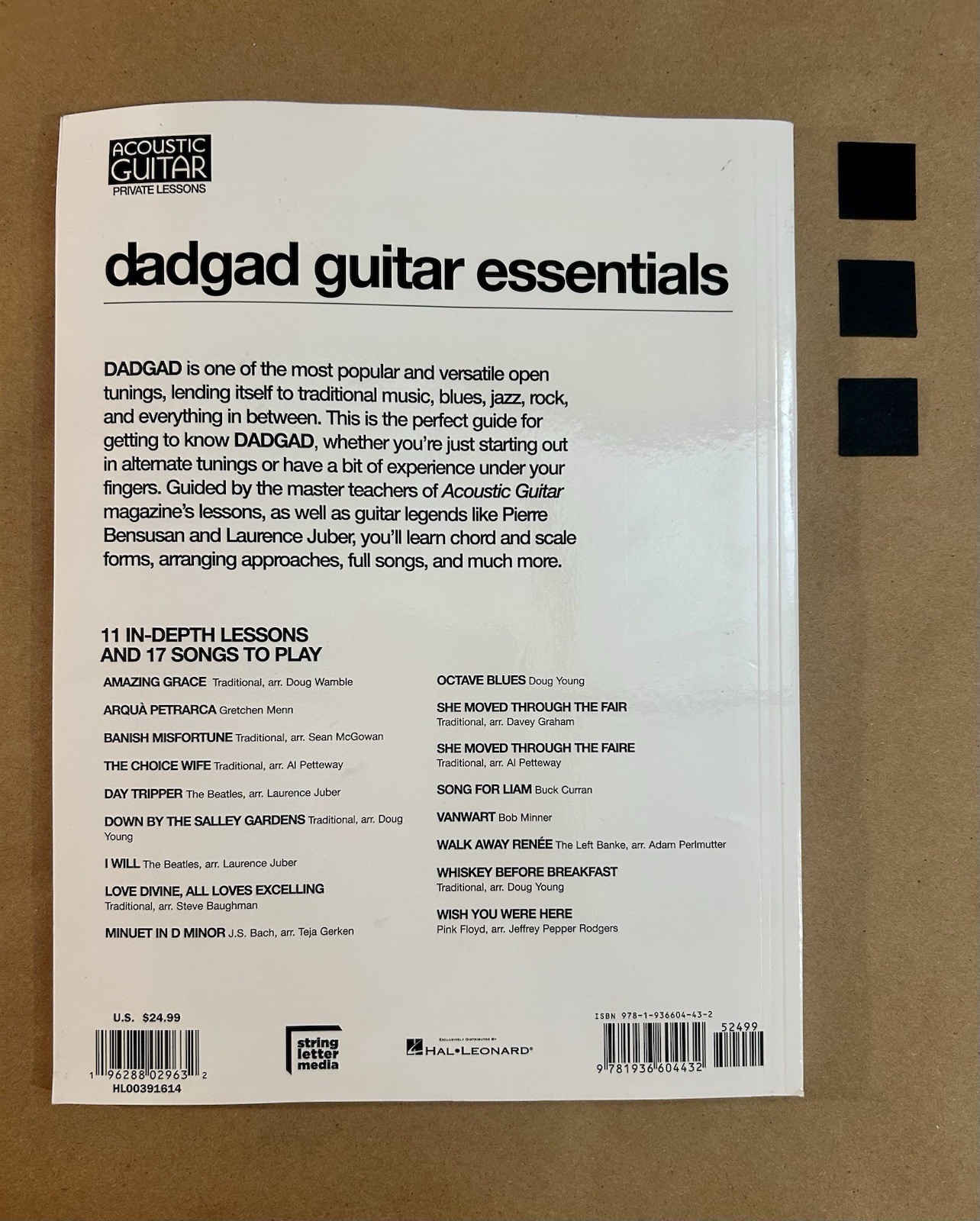 DADGAD Guitar Essentials: 11 in-Depth Lessons and 17 Full Songs with Video…