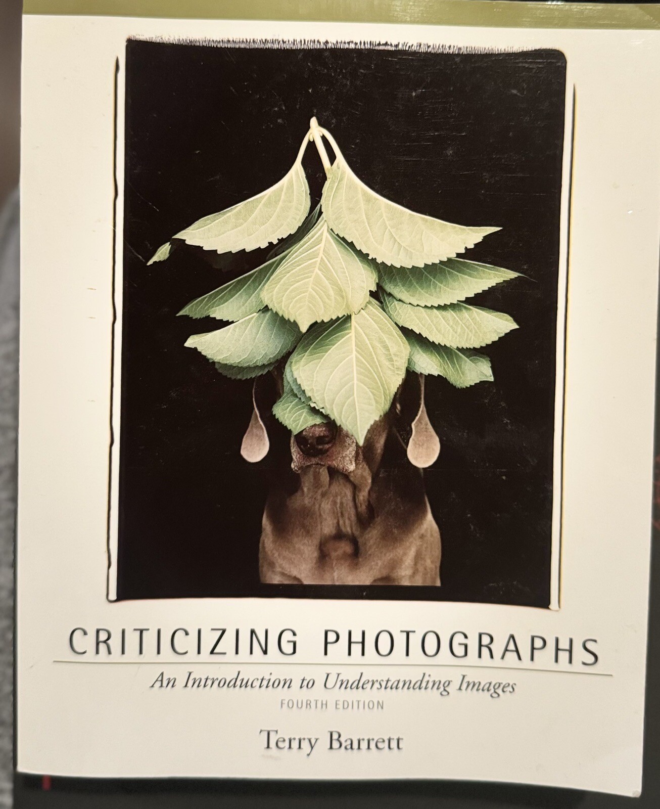 Criticizing Photographs : An Introduction to Understanding Images by Terry…