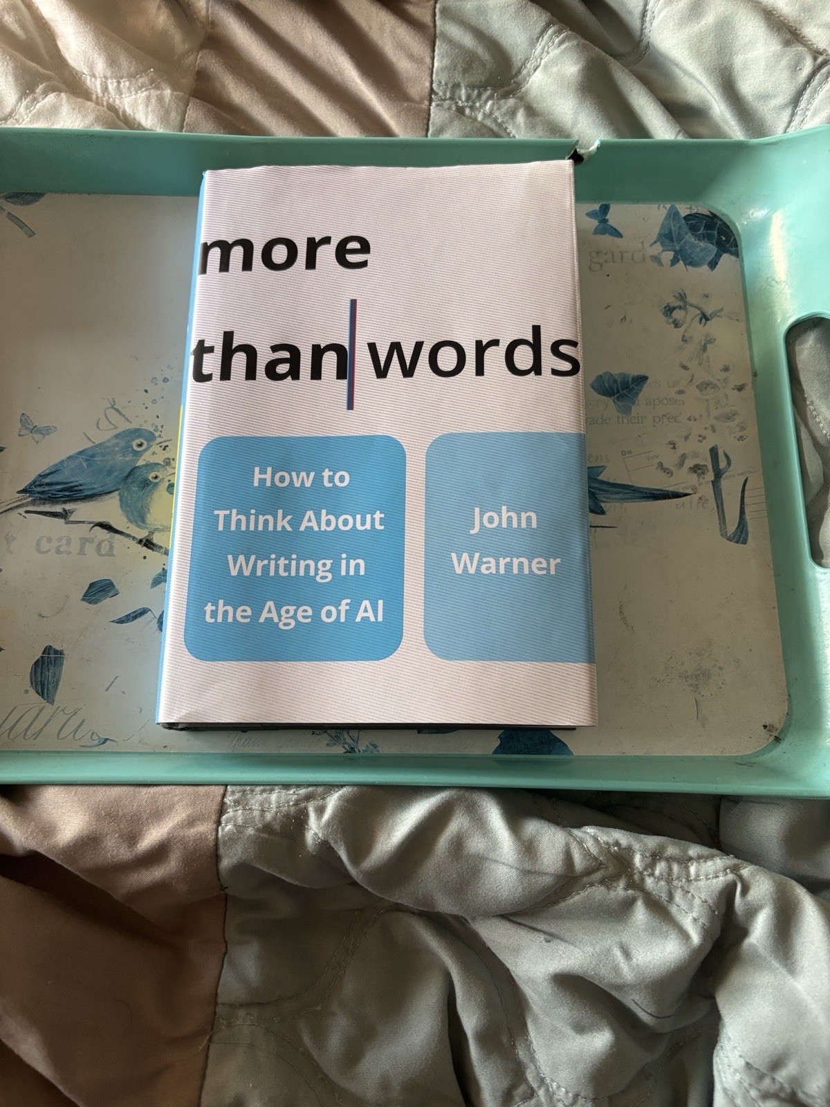 More Than Words: How to Think about Writing in the Age of AI by John Warner Hard