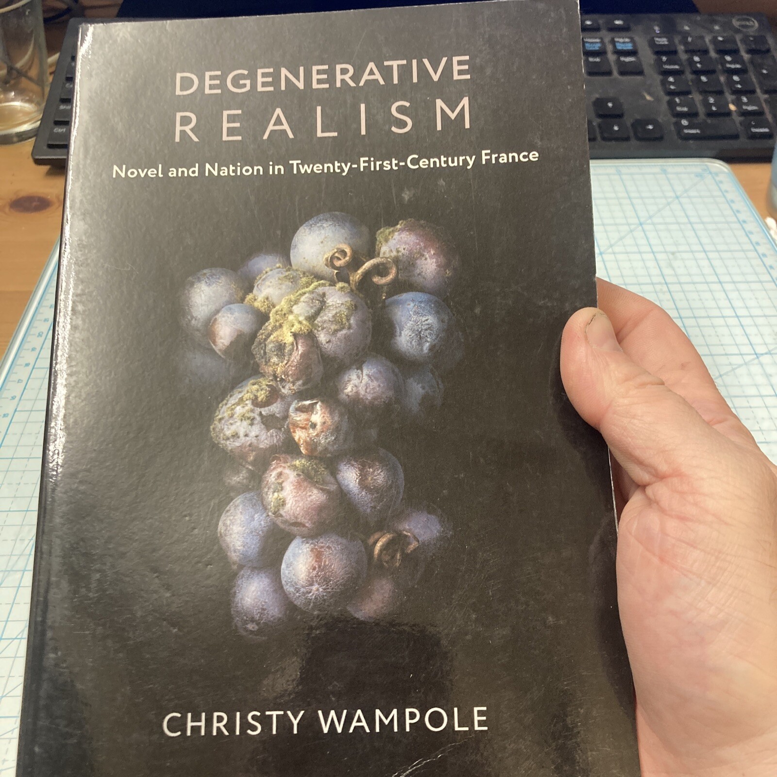 Degenerative Realism : Novel and Nation in Twenty-First-Century France, Paper…