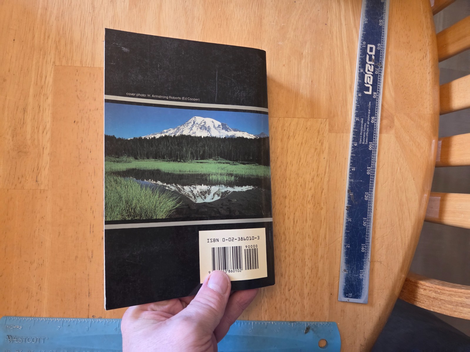 The Macmillan Reader by John Langan and Judith Nadell (1987, Trade Paperback)