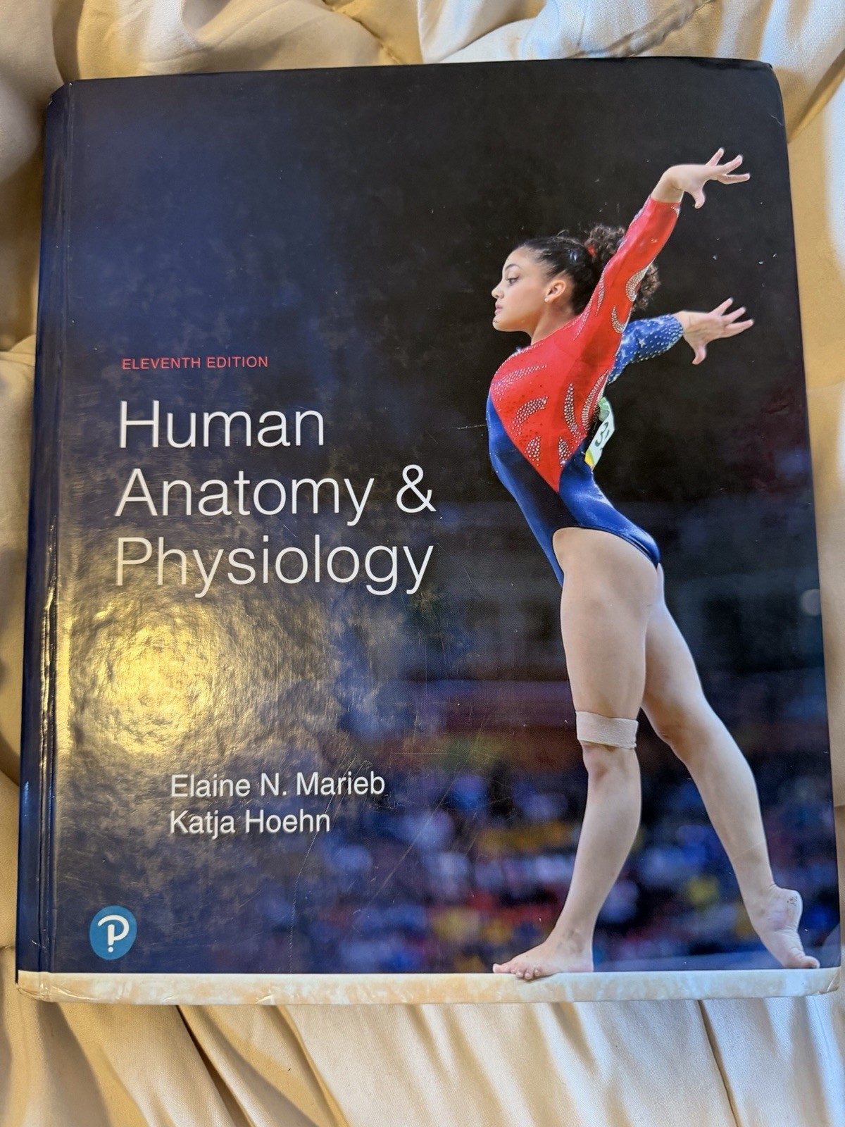 Human Anatomy and Physiology by Elaine Marieb and Katja Hoehn (2018, Hardcover)