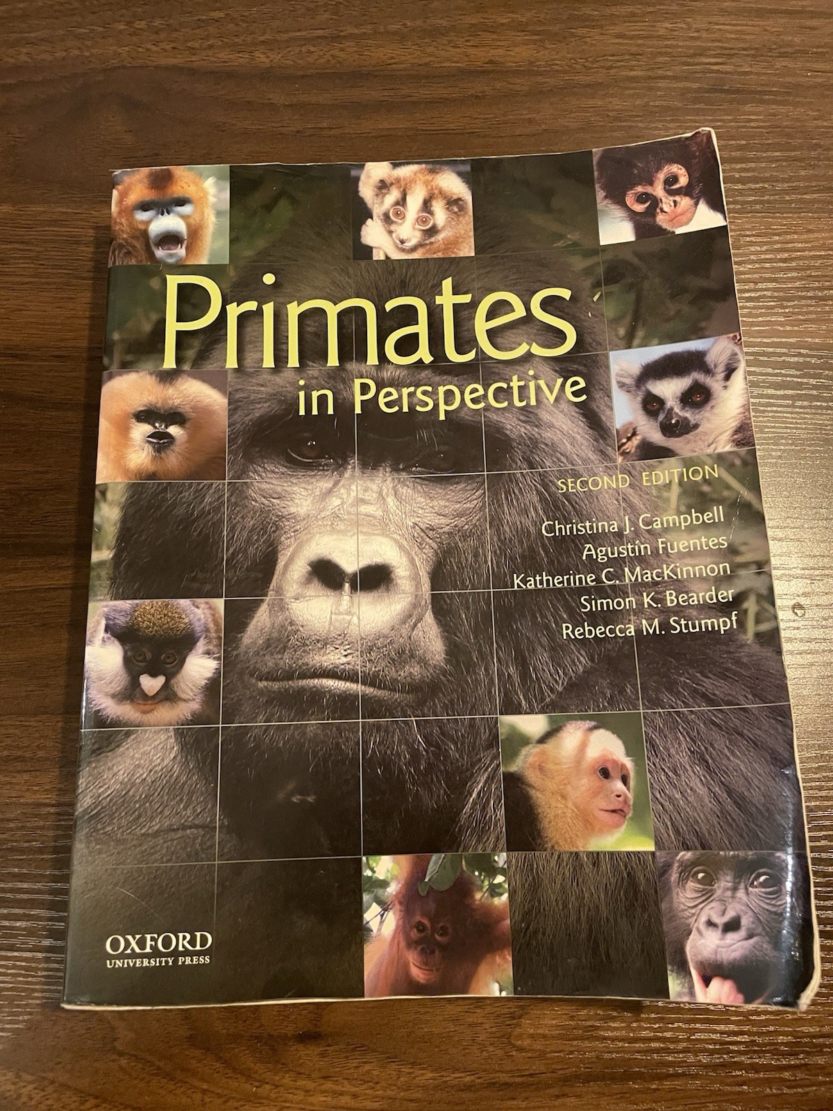 Primates in Perspective by Christina Campbell (2010, Trade Paperback)