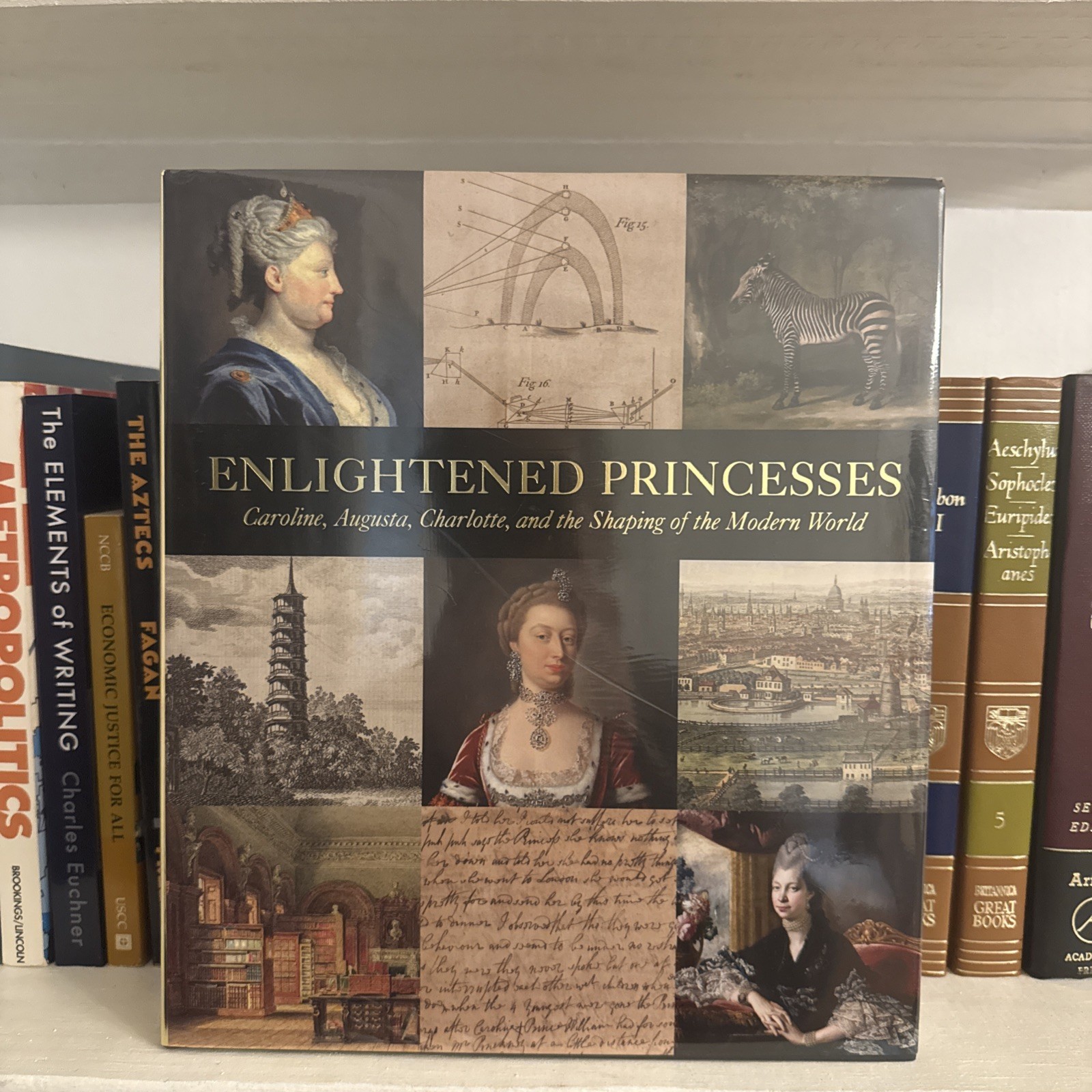 Enlightened Princesses : Caroline, Augusta, Charlotte, and the Shaping