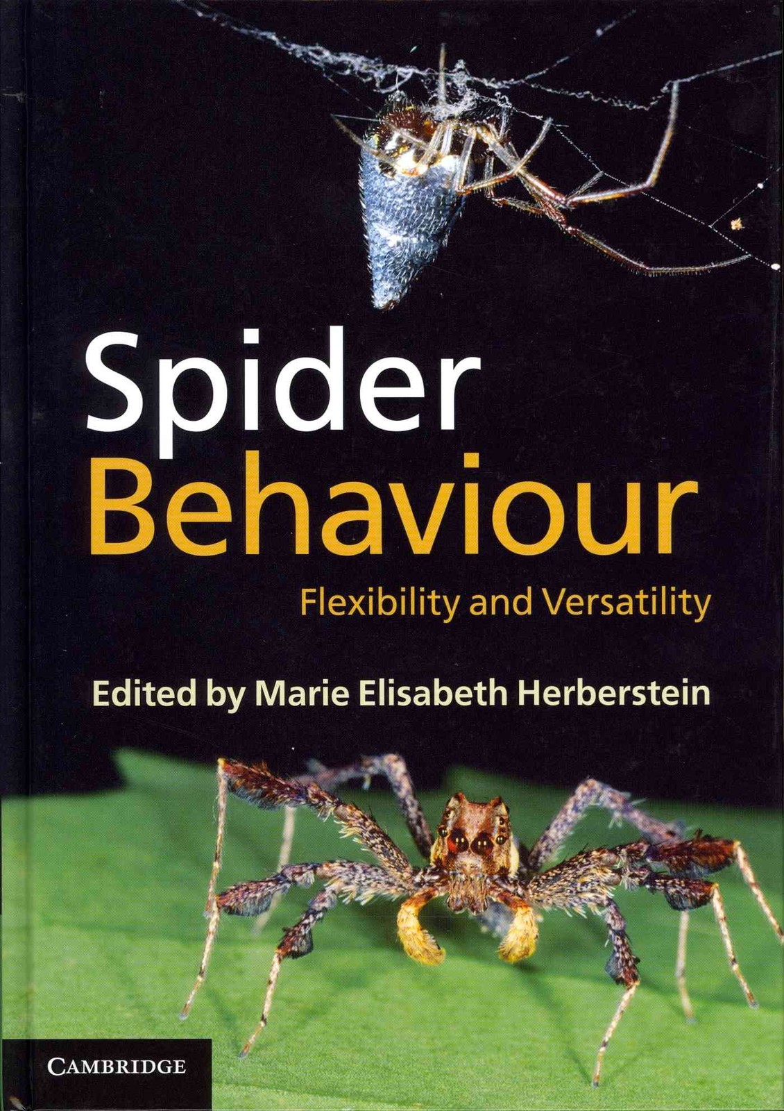 Spider Behaviour: Flexibility and Versatility
