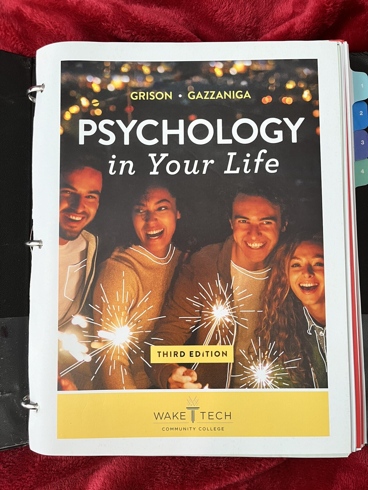 Psychology in Your Life by Sarah Grison and Michael Gazzaniga (2019, Ringbound /