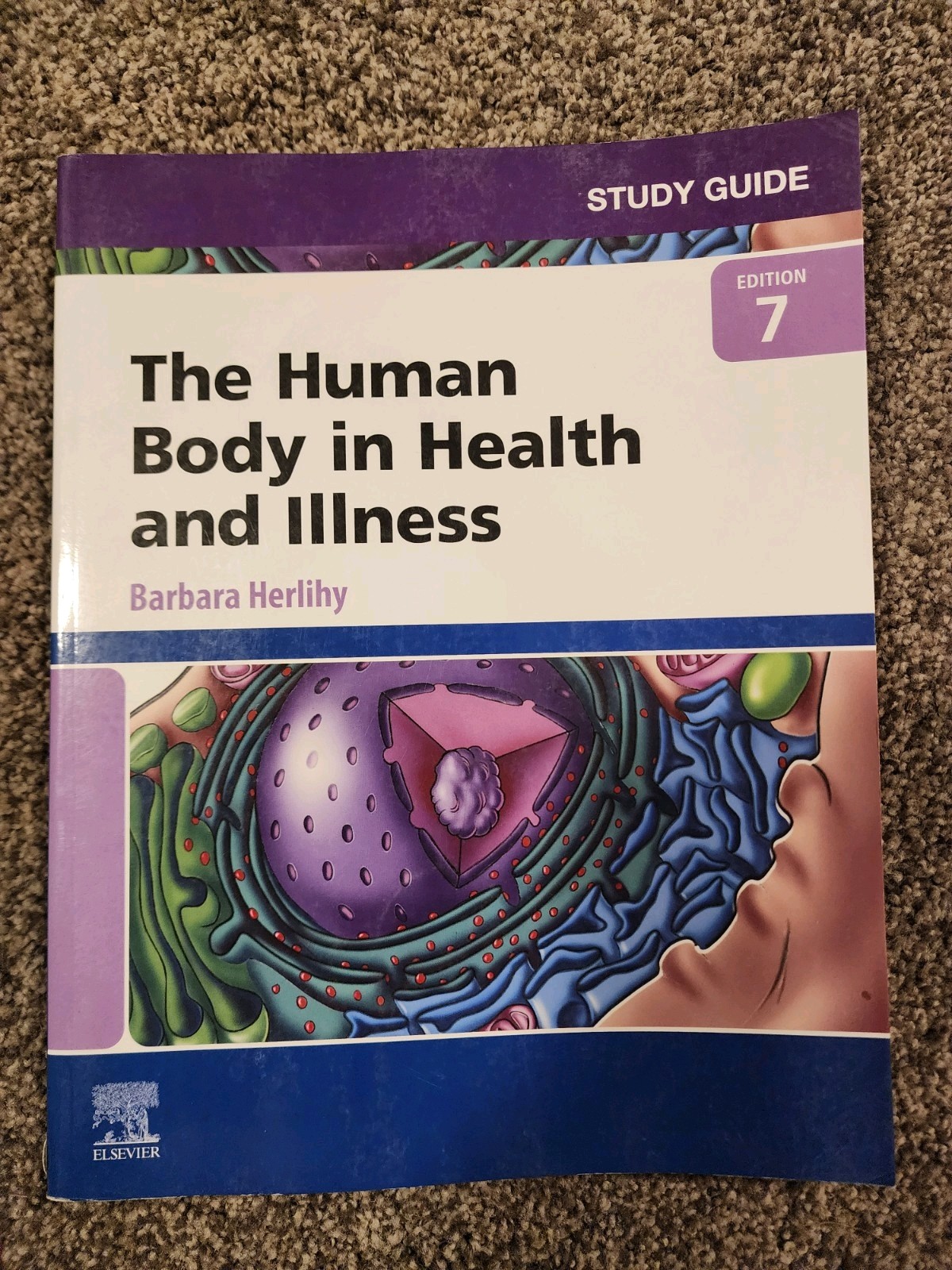 Study Guide for the Human Body in Health and Illness by Barbara Herlihy