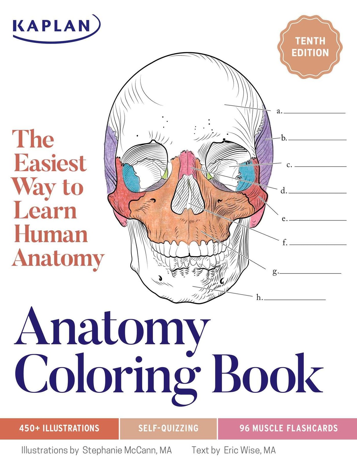 Anatomy Coloring Book with 450+ Realistic Medical Illustrations with Quizzes…