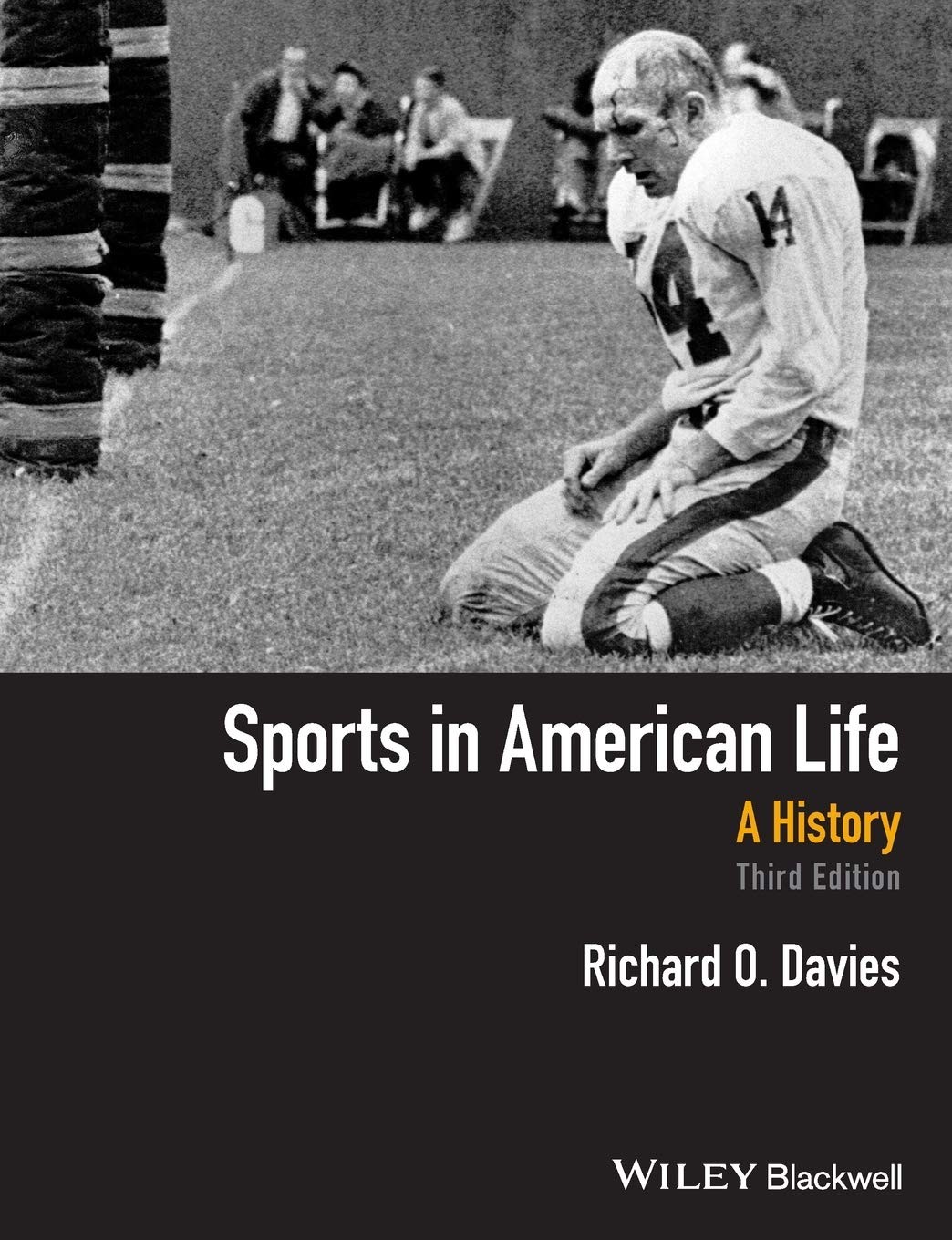 Sports in American Life: A History