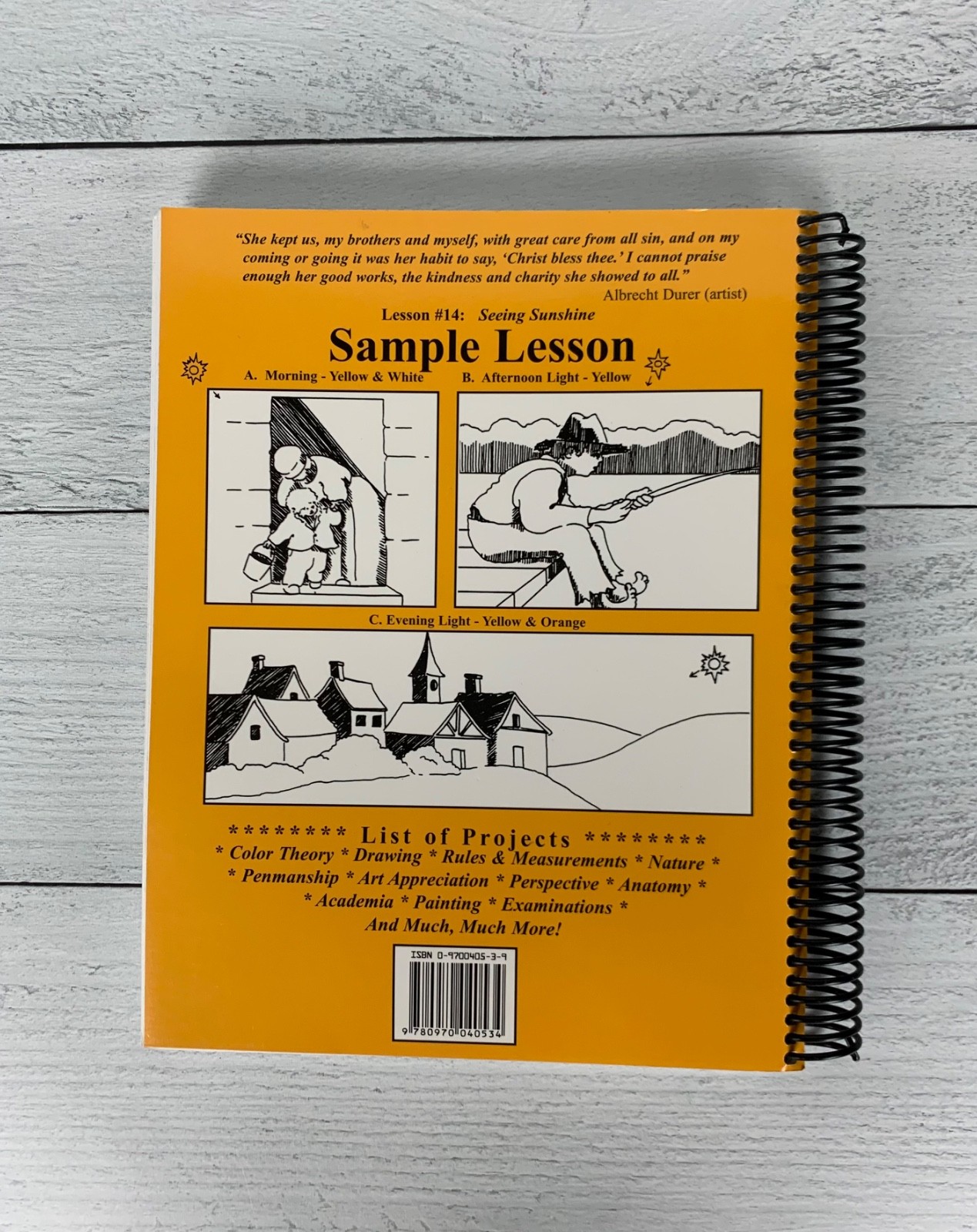 Feed My Sheep Art Curriculum Spiral bound by Barry Stebbing Book Homeschool