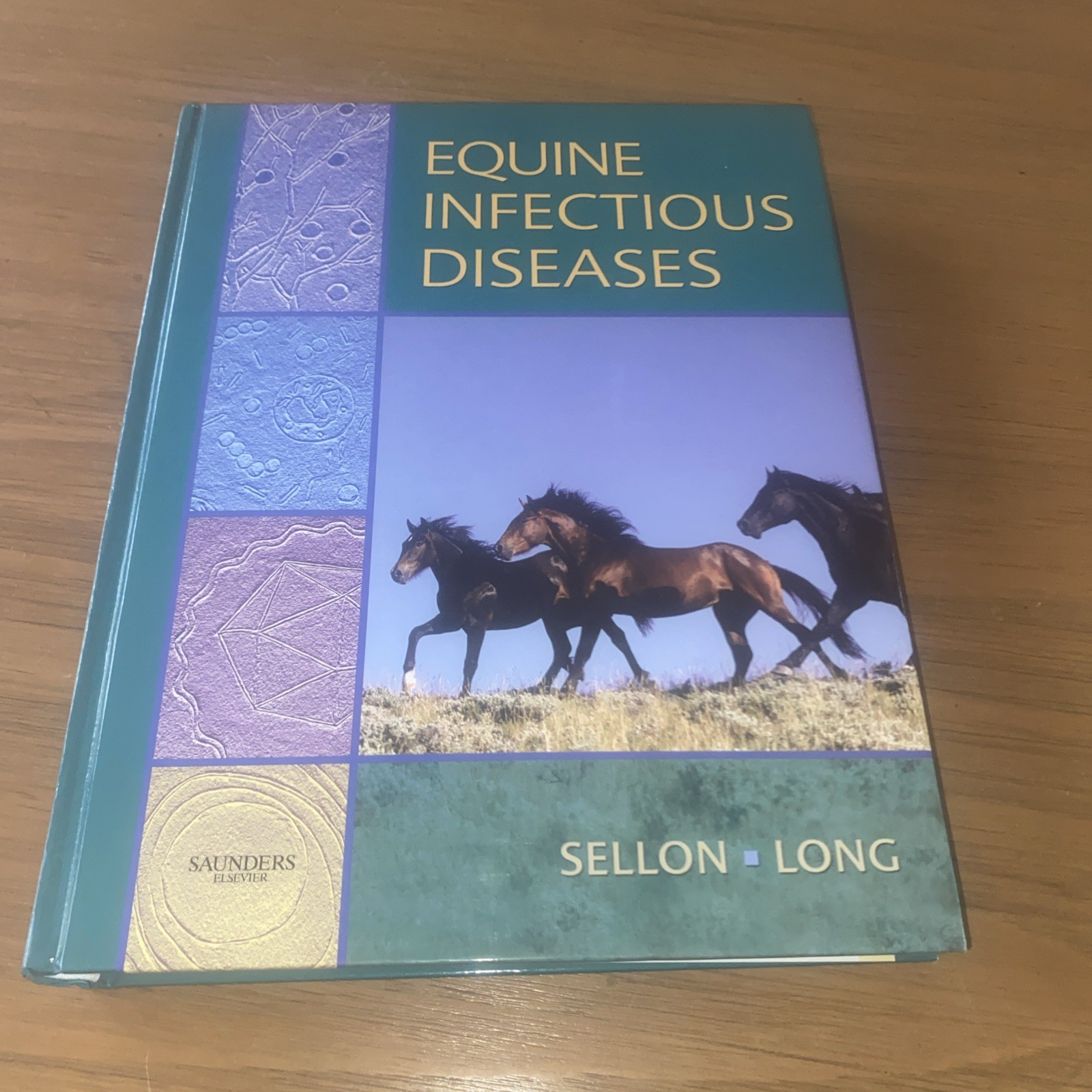 Equine Infectious Diseases by Sellon, Debra C.