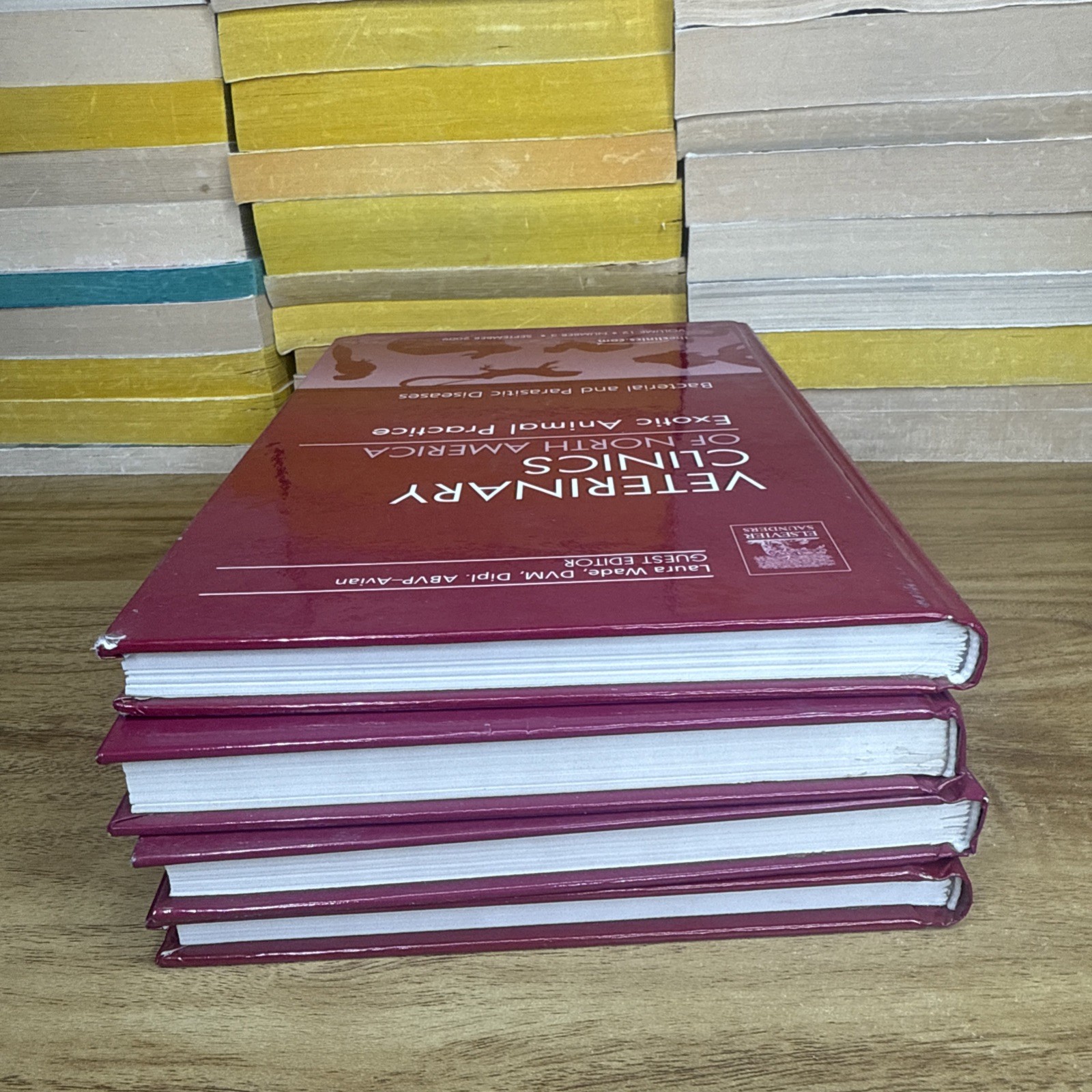 Lot Of 4 Veterinary Clinics Of North America: Exotic Animal Practice Hardcover