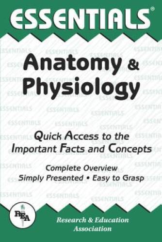 Anatomy and Physiology Essentials (Essentials Study Guides) – Paperback – GOOD