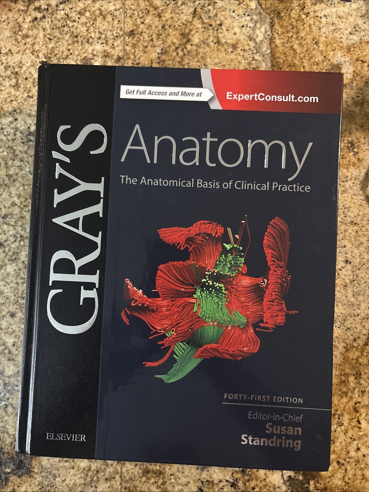Gray’s Anatomy: The Anatomical Basis of Clinical Practice Standring PhD,.. VG