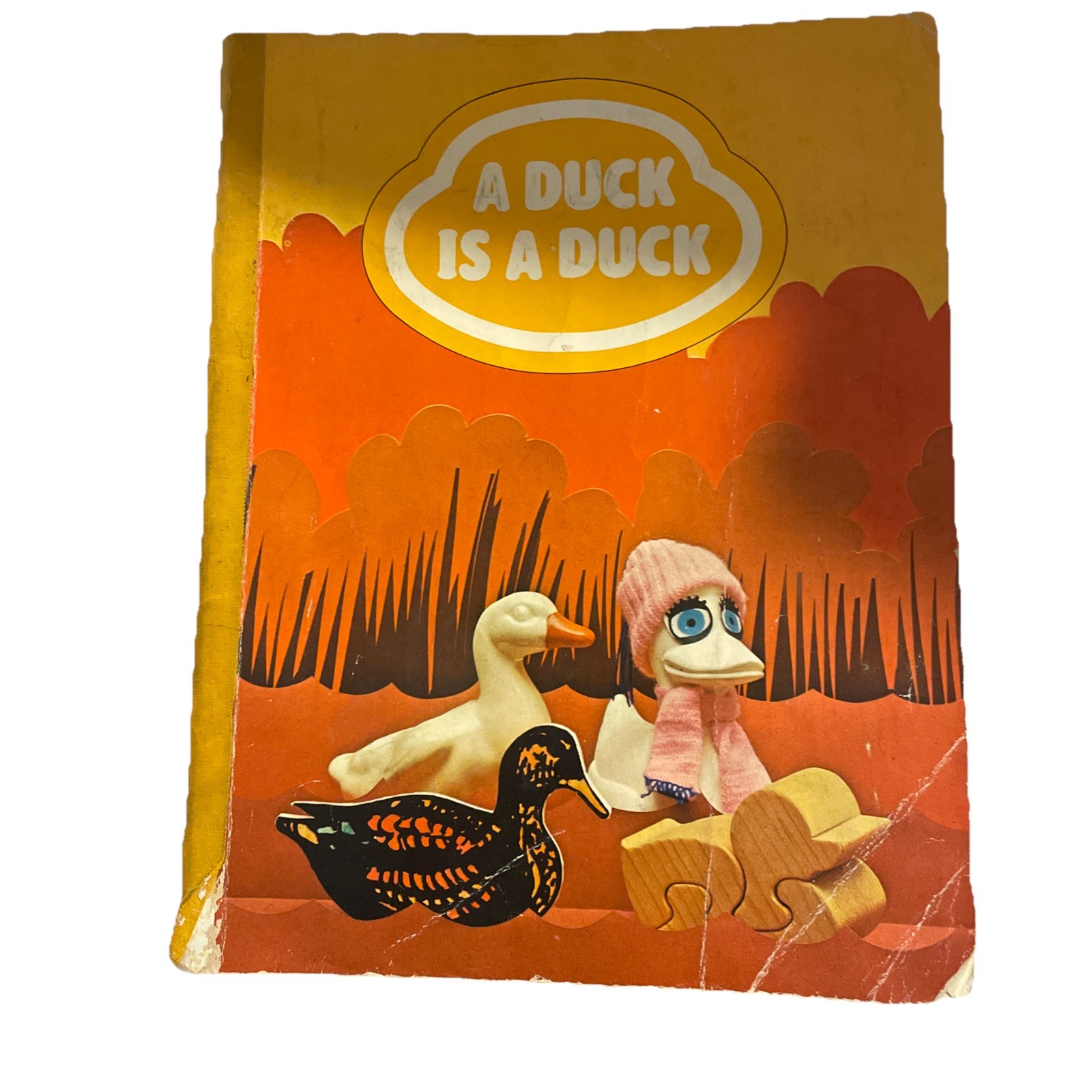 A Duck Is A Duck STUDENT EDITION Ginn and Comp. Reading 720, Level 3