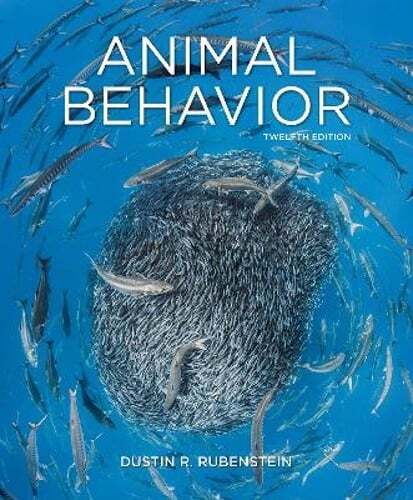 Animal Behavior by Dustin Rubenstein: New