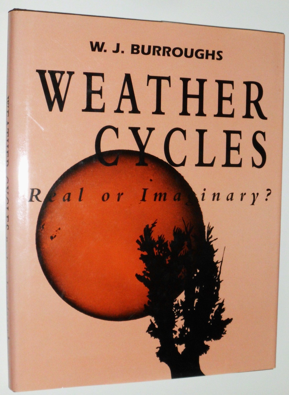 Weather Cycles: Real or Imaginary? – hardcover Burroughs, William James