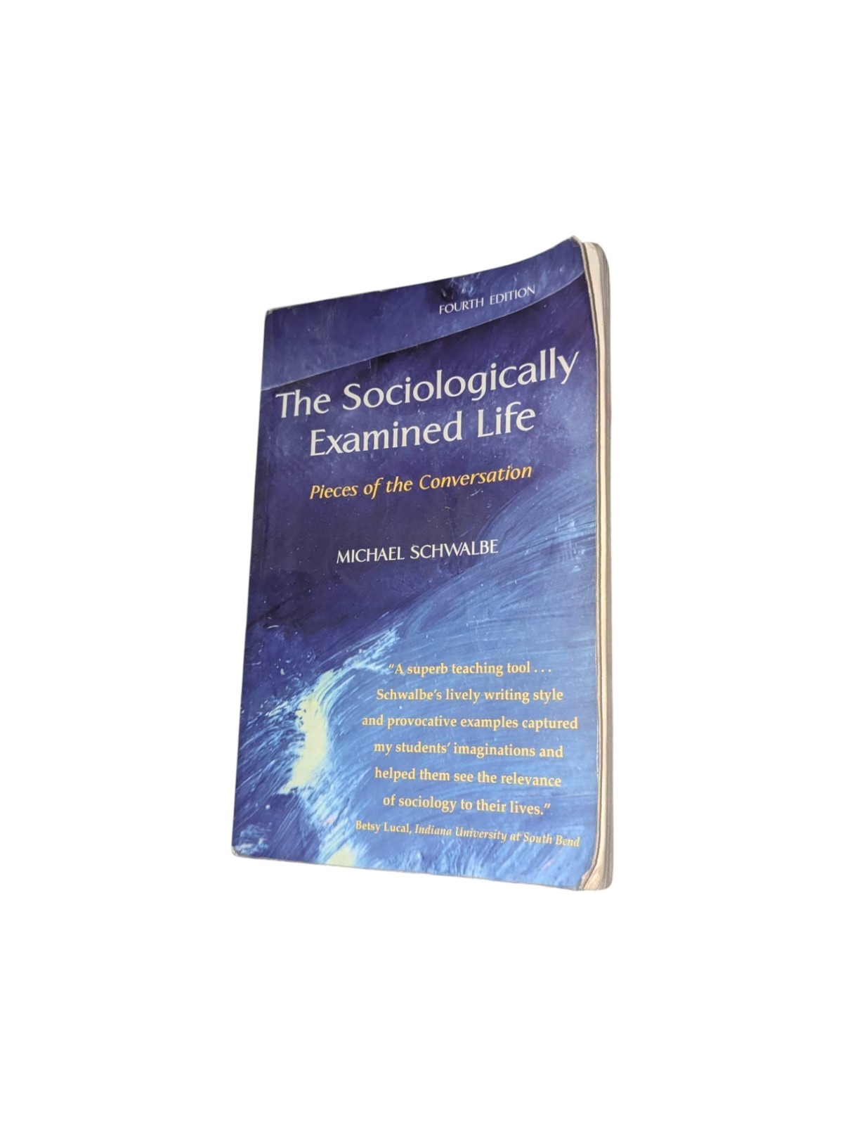 The Sociologically Examined Life: Pieces of the Conversation by Michael Schwalb