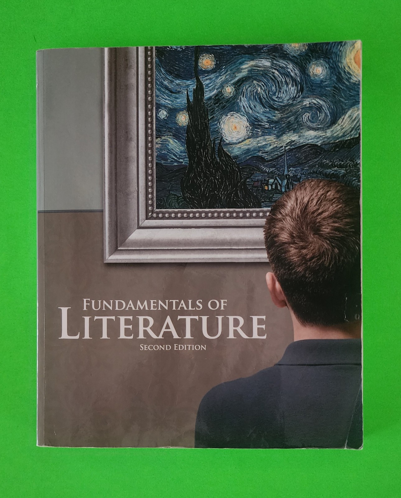 B447-166 * LIKE NEW, BJU FUNDAMENTALS OF LITERATURE, 2ND ED, 2018, 9781628564365