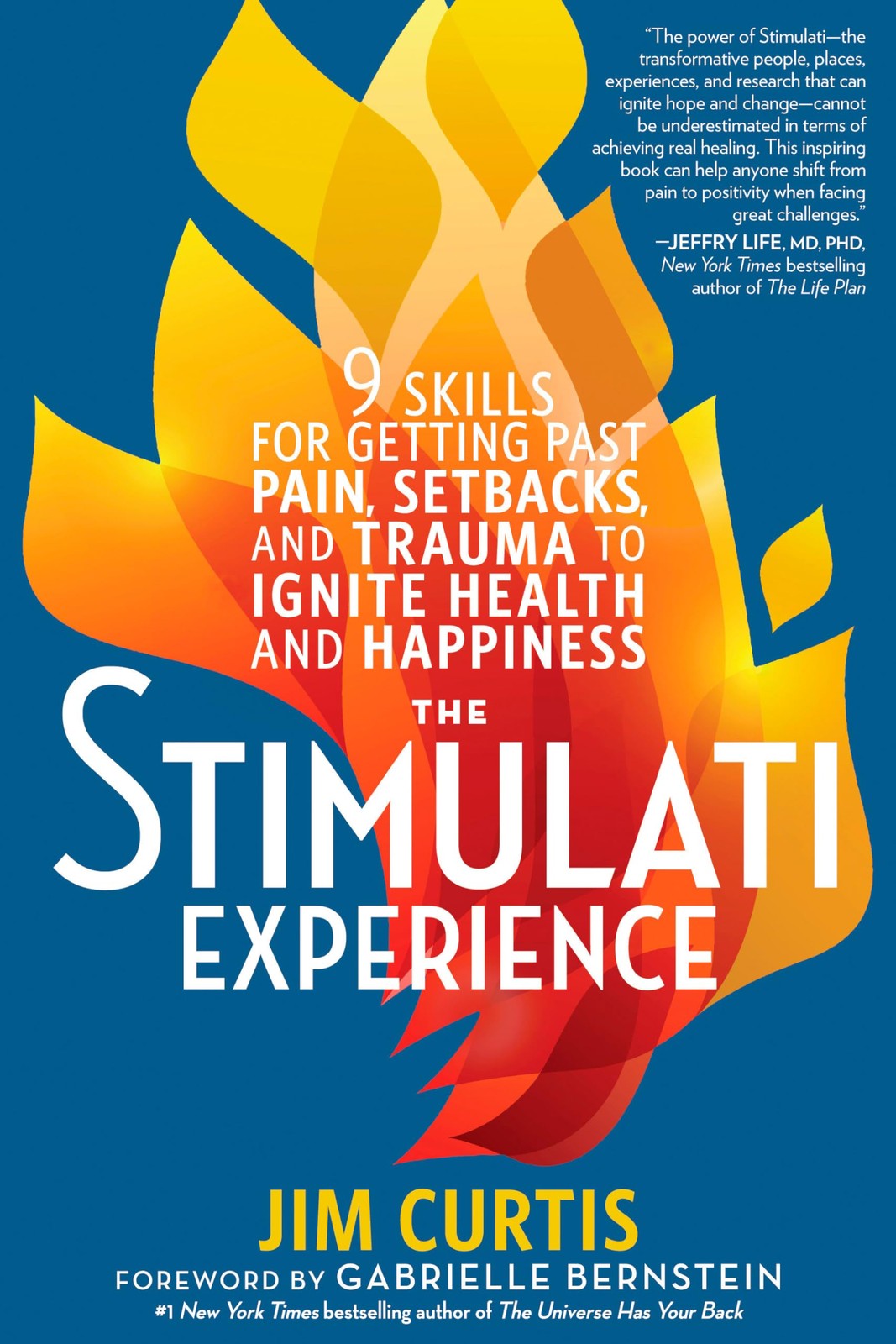 The Stimulati Experience: 9 Skills for Getting Past Pain, Setbacks, and Trau…