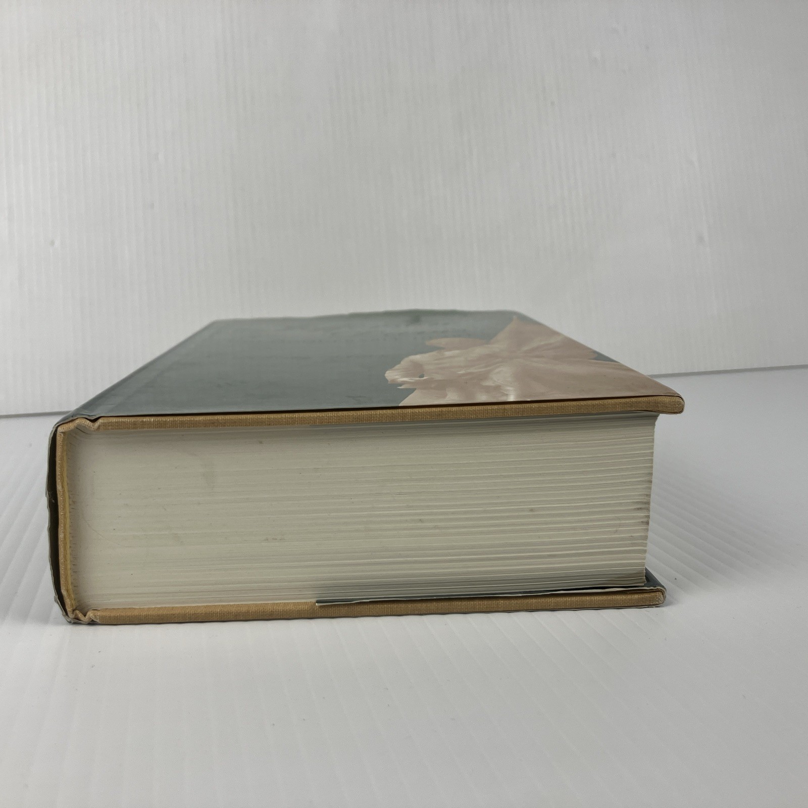Jefferson Davis Unconquerable Heart by Felicity Allen HC DJ Confederate