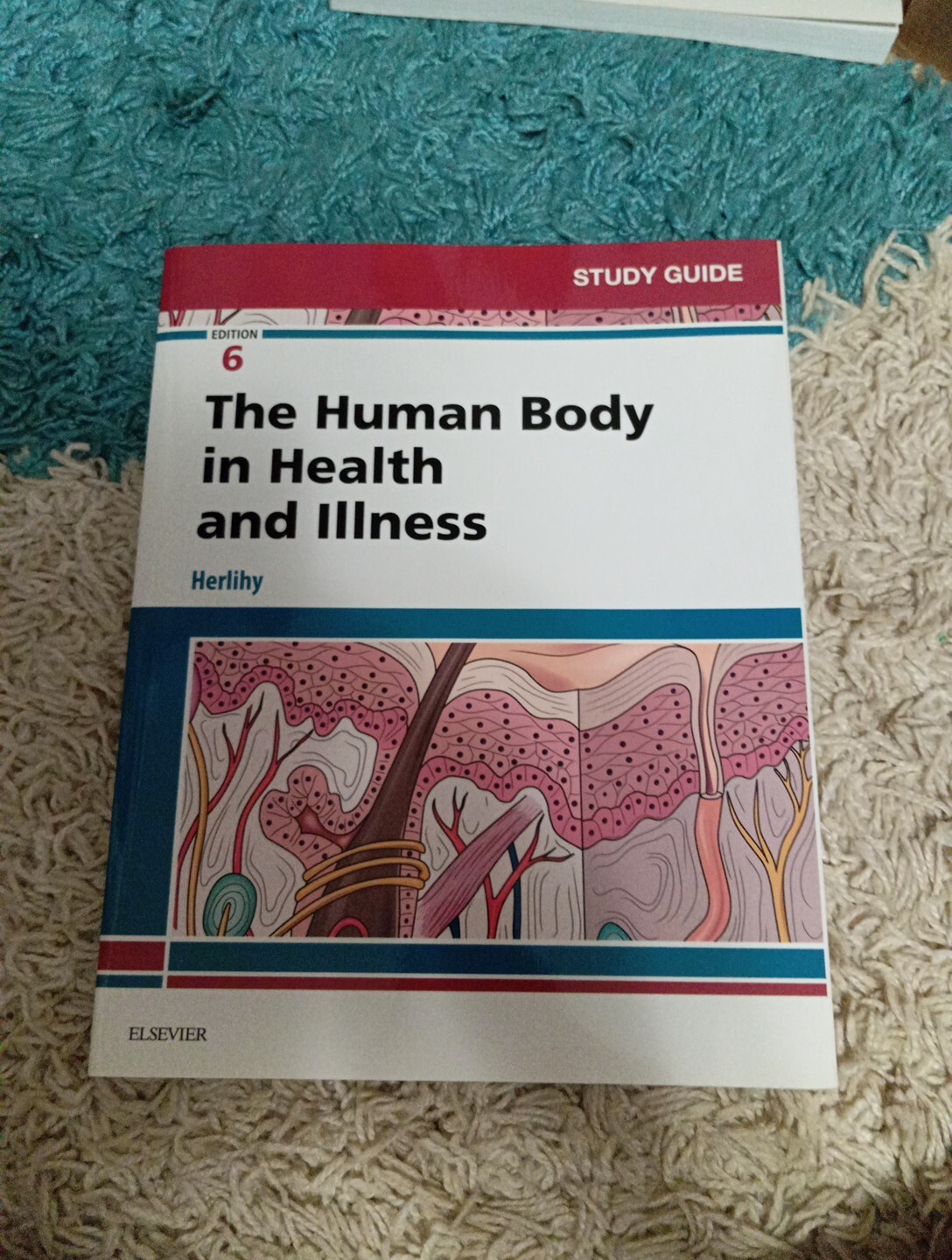 Study Guide for the Human Body in Health and Illness by Barbara Herlihy…