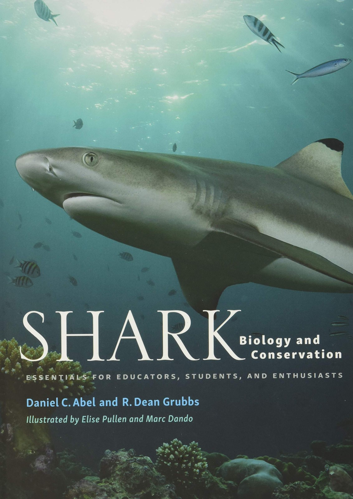Shark Biology and Conservation: Essentials for Educators, Students, and Enth…
