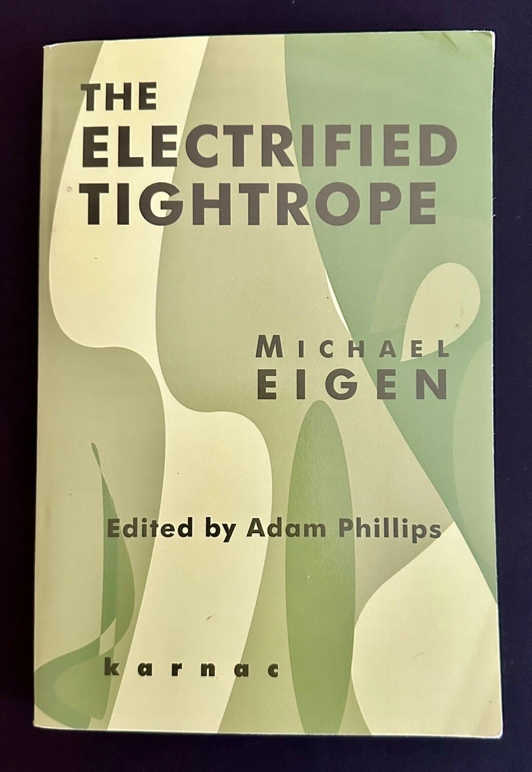The Electrified Tightrope by Michael Eigen 2004 1st UK Paperback VG Condition