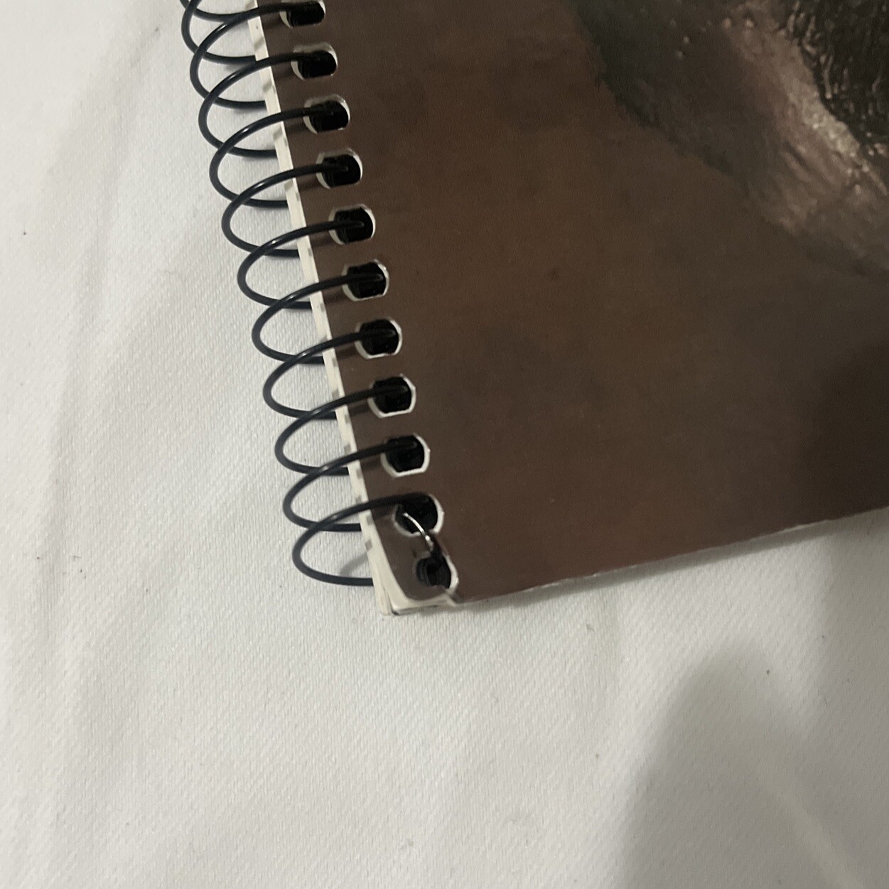 Martini’s Atlas of the Human Body Spiral Binding by Frederic H. Martini, PH.D 