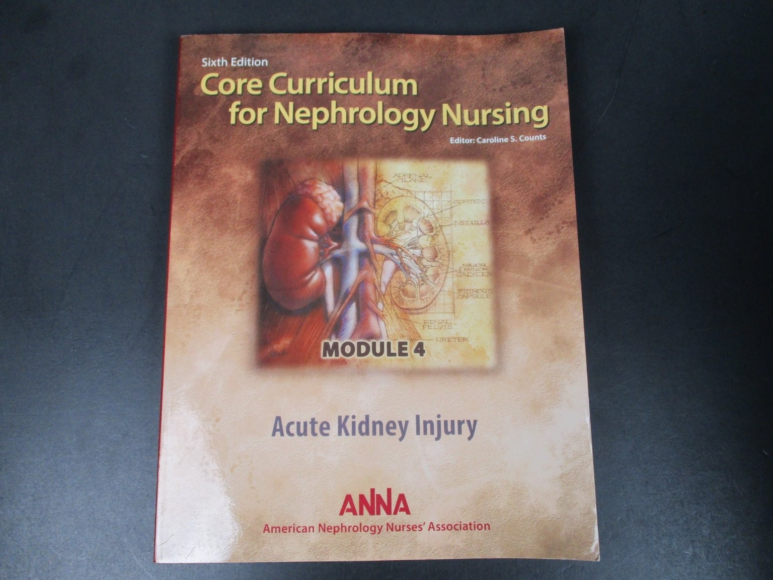 Core Curriculum for Nephrology Nursing Counts 2015 6th Ed Acute Kidney Module 4