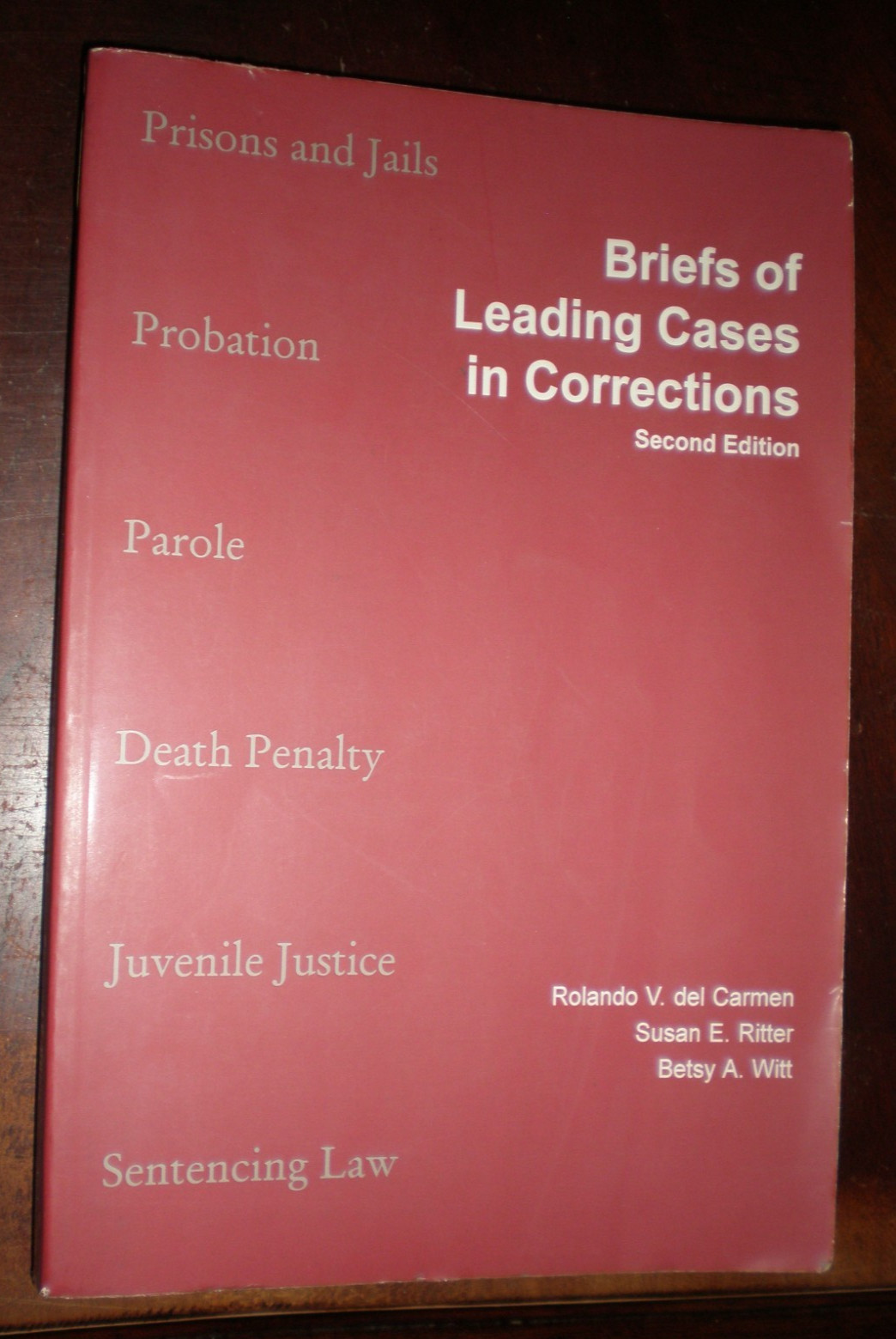 Briefs of Leading Cases in Corrections by Not Available 1998 VERY GOOD