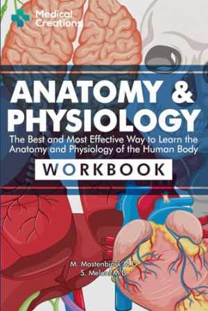 Anatomy & Physiology: The Best and – Paperback, by Meloni M.D. S.; – Very Good h