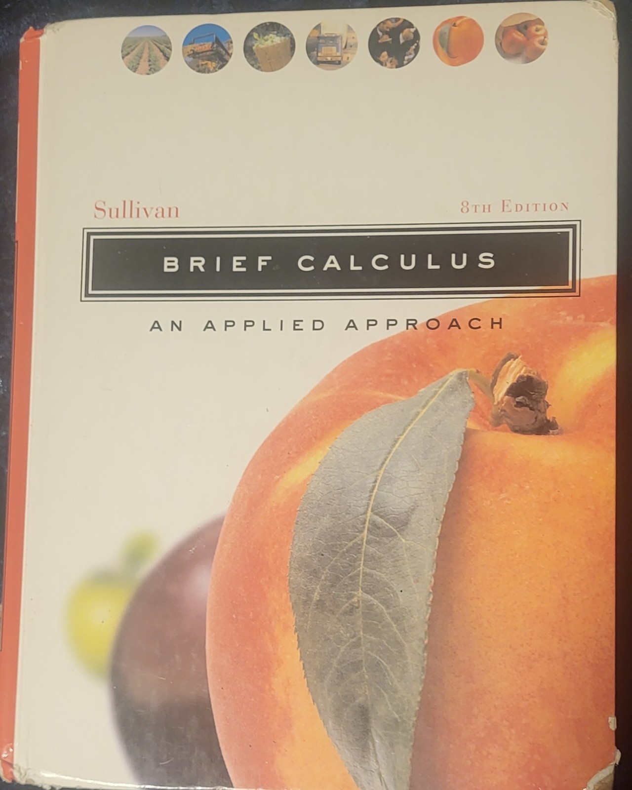 Brief Calculus: An Applied Approach by III Sullivan, Michael: ACCEPTABLE