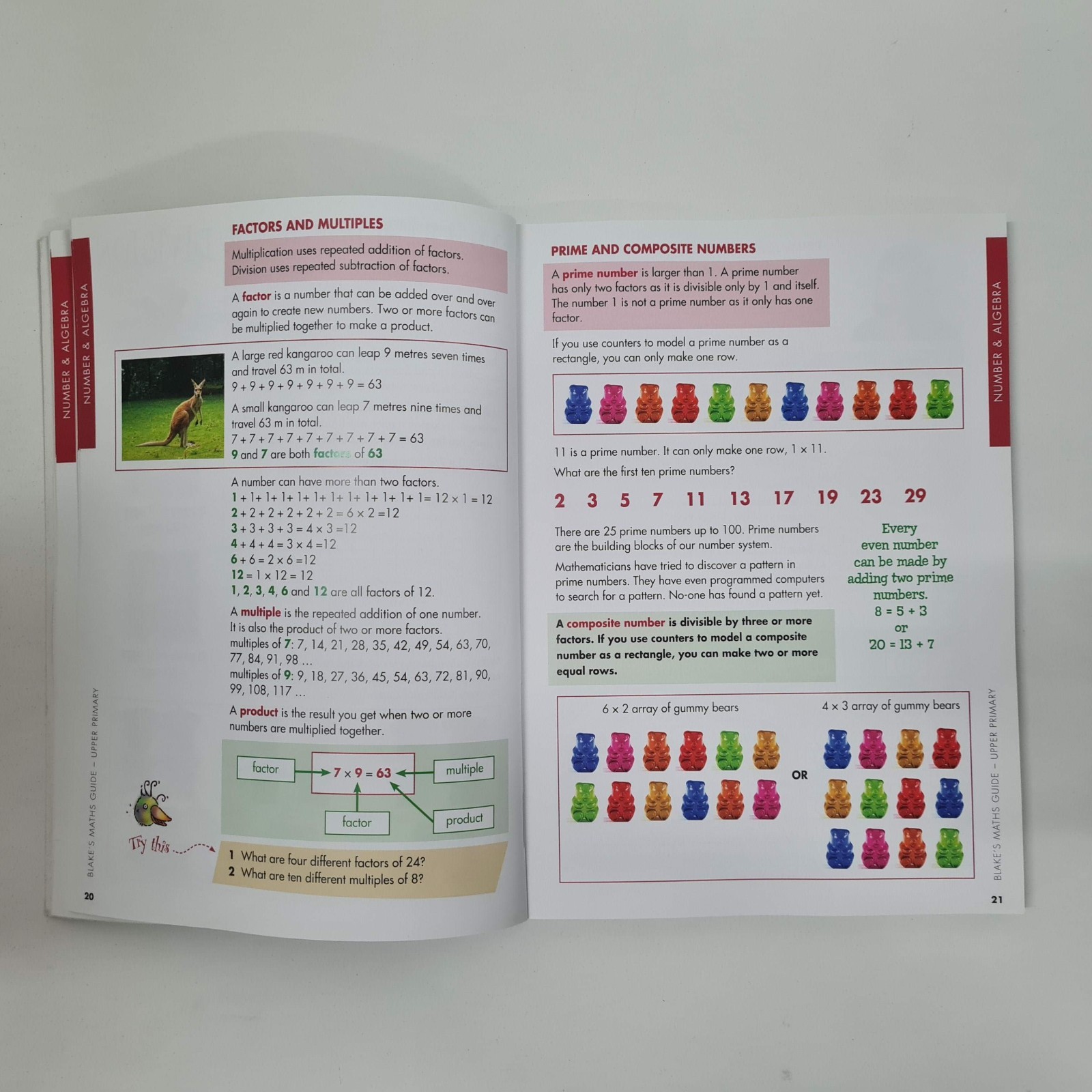 Blake’s Maths Guide Upper Primary (ages 9-12) by Bev Dunbar Home Schooling