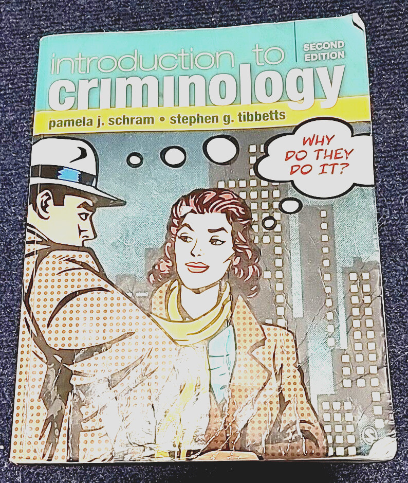 Introduction to Criminology: Why Do They Do It? College Textbook Paperback