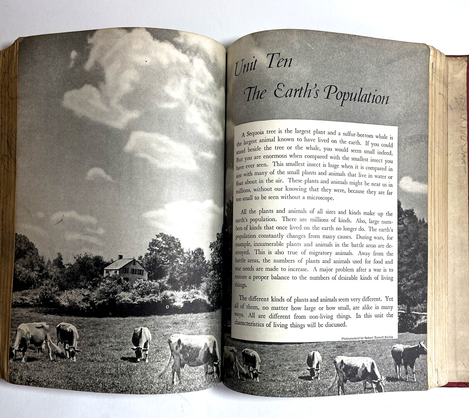 Everyday Science 1946 science textbook, Publisher Ginn and Company hardcover