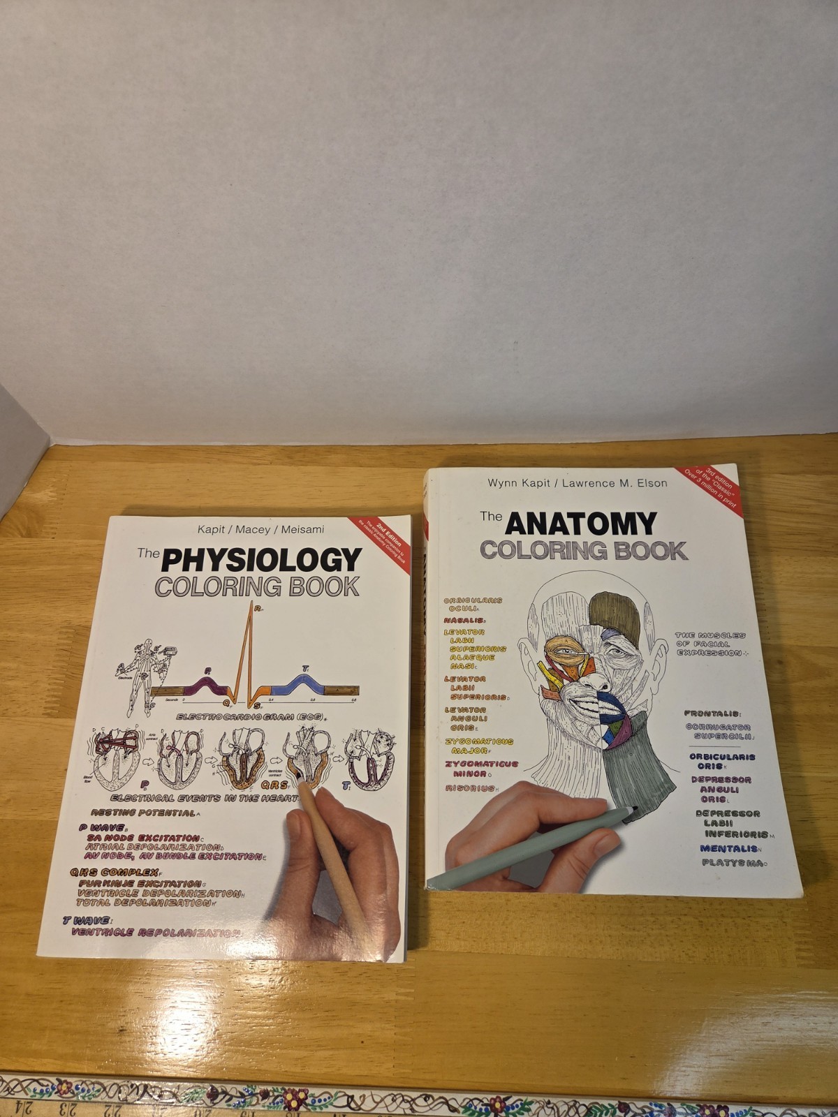 Lot of 2 coloring books – ANATOMY & PHYSIOLOGY – Wynn Kapit