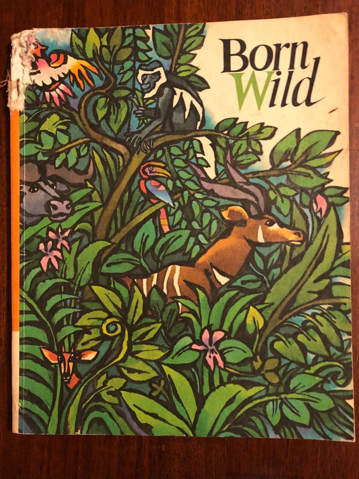 Born Wild,prepared by The Bank St College Of Education,1972, Paperback textbook