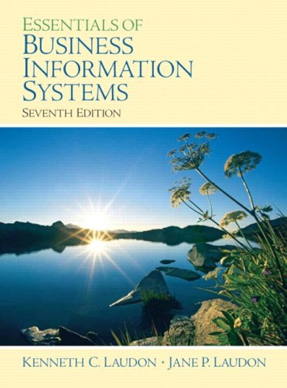 Essentials of Business Informaton Systems