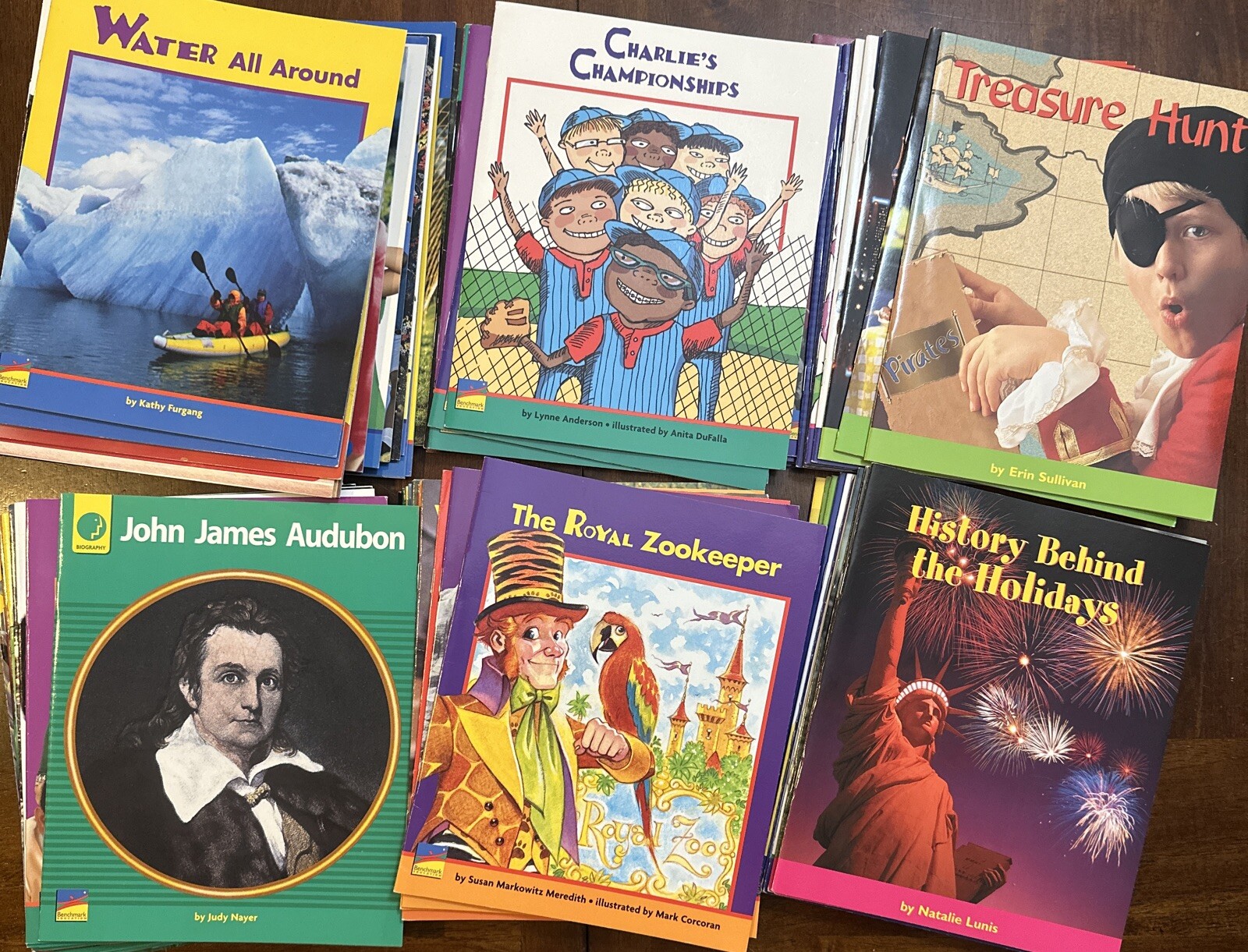 Lot Of 80 Leveled Readers F-M Benchmark Education Early Connections Homeschool