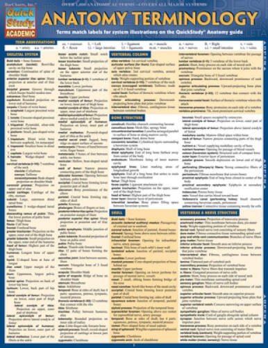 Anatomy Terminology (Quick Study Academic) – Pamphlet – VERY GOOD
