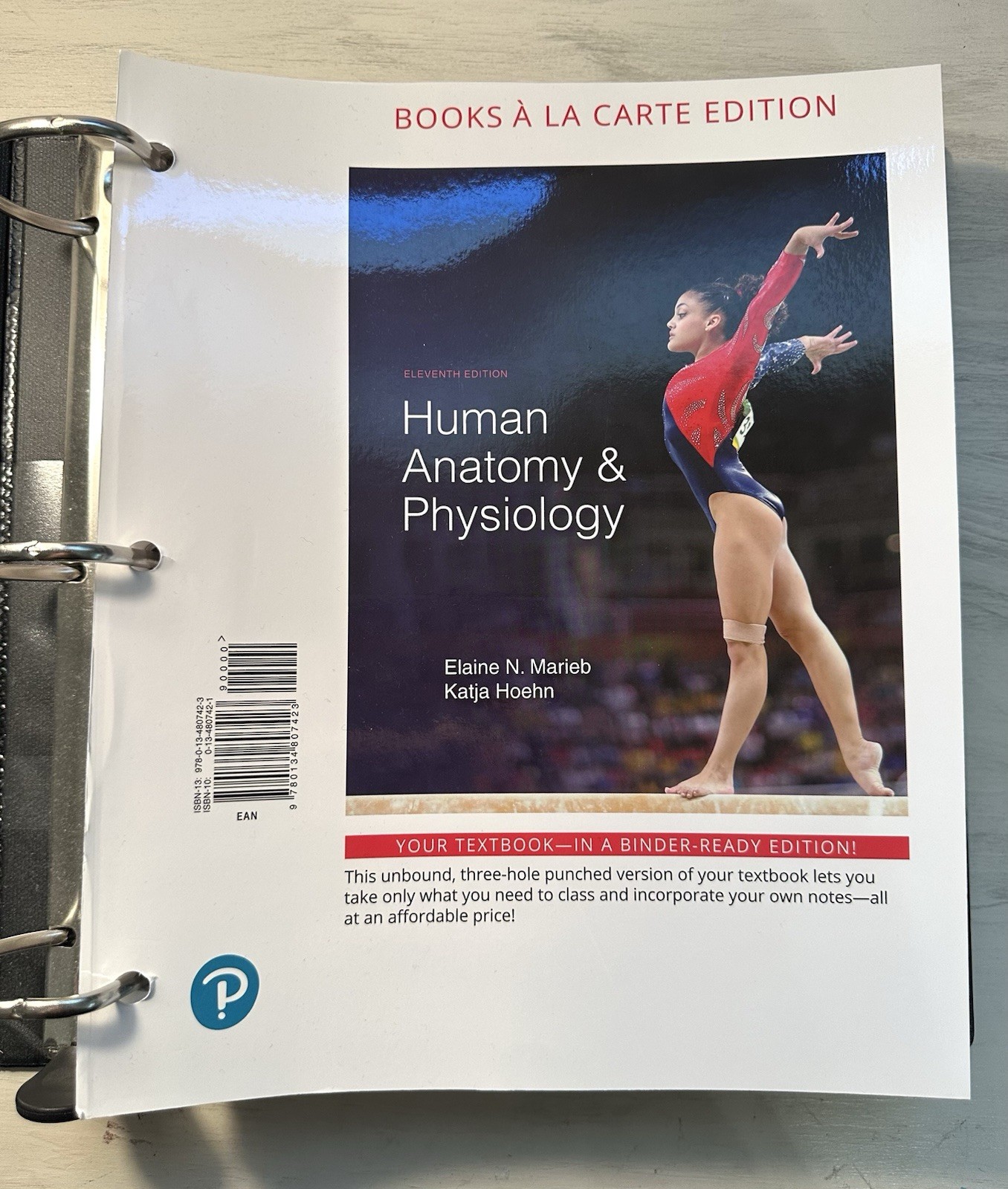 Human Anatomy and Physiology by Elaine Marieb and Katja Hoehn (2018, Hardcover)