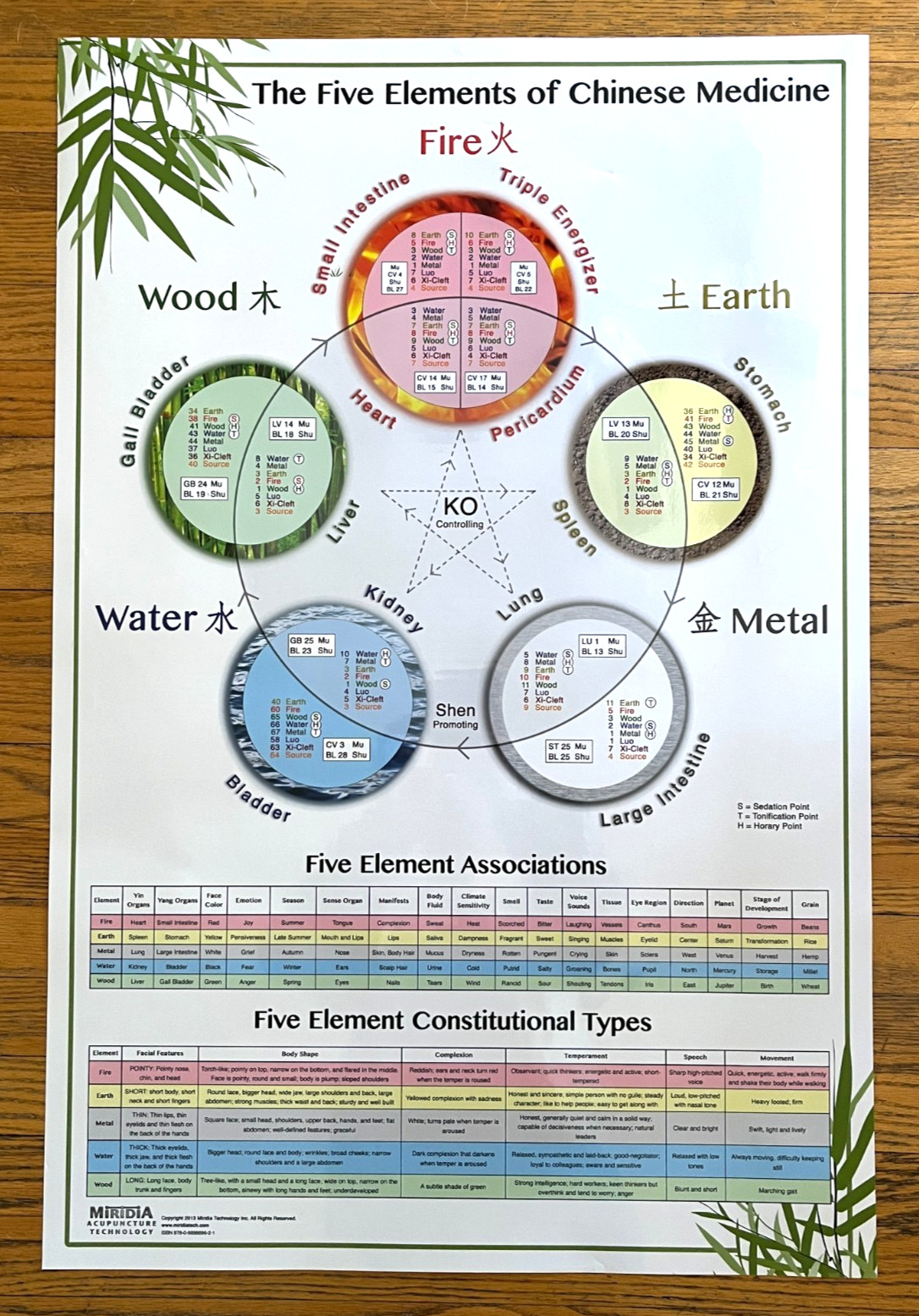 Laminated Wall Chart The Five Elements of Chinese Medicine Miridia Acupuncture